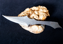 Load image into Gallery viewer, Apocalypse High Carbon Upswept Clip Point Utility Knife