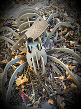 Load image into Gallery viewer, Free Hand Engraved Bat High Carbon Steel Mini Cleaver