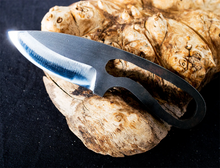 Load image into Gallery viewer, The Soulless Beetle High Carbon Steel Blade