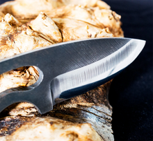 Load image into Gallery viewer, The Soulless Beetle High Carbon Steel Blade