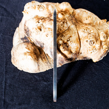 Load image into Gallery viewer, The Soulless Beetle High Carbon Steel Blade