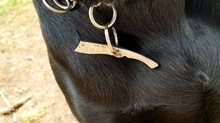 Load image into Gallery viewer, Hand Forged Pirate Chopper Name Tag
