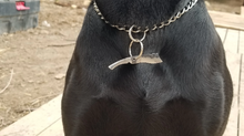 Load image into Gallery viewer, Hand Forged Pirate Chopper Name Tag