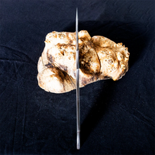 Carregar imagem no visualizador da galeria, Apocalypse High Carbon Upswept Clip Point Utility Knife
