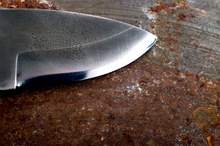 Load image into Gallery viewer, Small drop point high carbon steel blade
